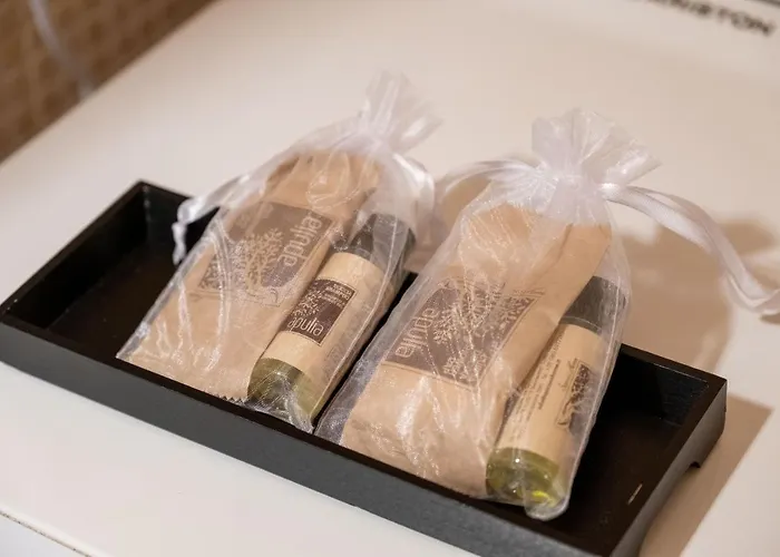 Apartament Hidalgo De Menezes